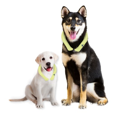 [Korea Cross Border]Korea icicool Pet Neckband Classic S