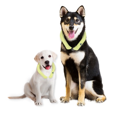 [Korea Cross Border]Korea icicool Pet Neckband Classic L