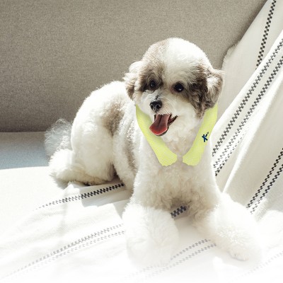 [Korea Cross Border]Korea icicool Pet Neckband Classic L